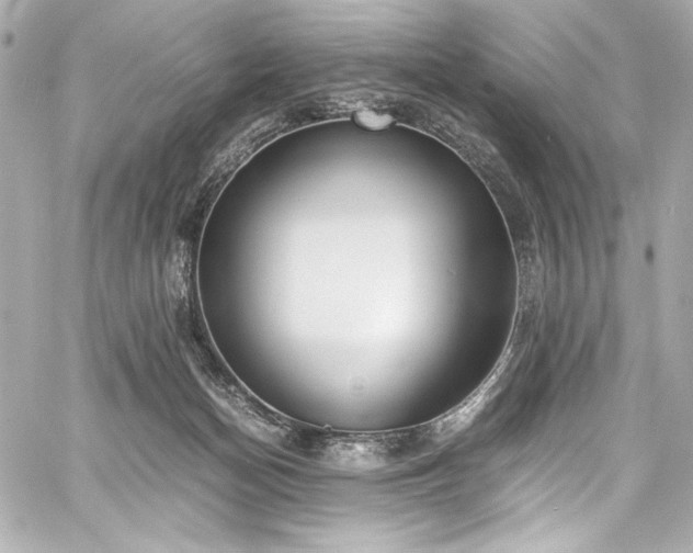 X0000060800174200511101428