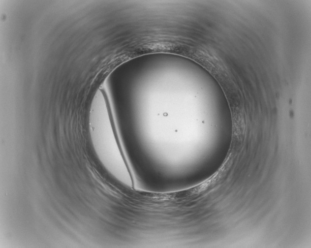 X0000060800175200511101428