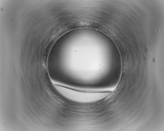 X0000060800176200511101428