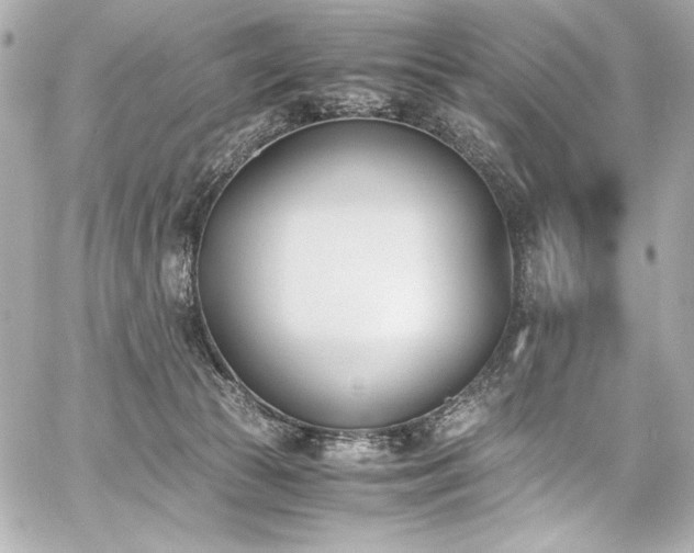 X0000060800177200511101428