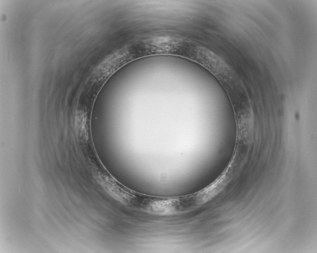 X0000060800178200511101428