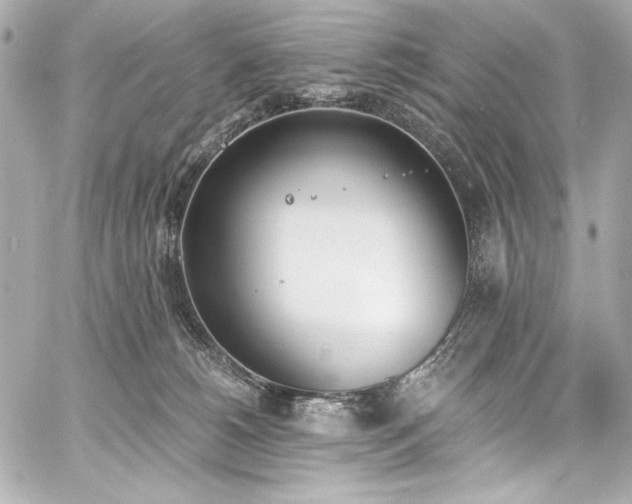 X0000060800180200511101428