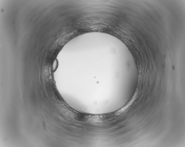 X0000060800182200511101428