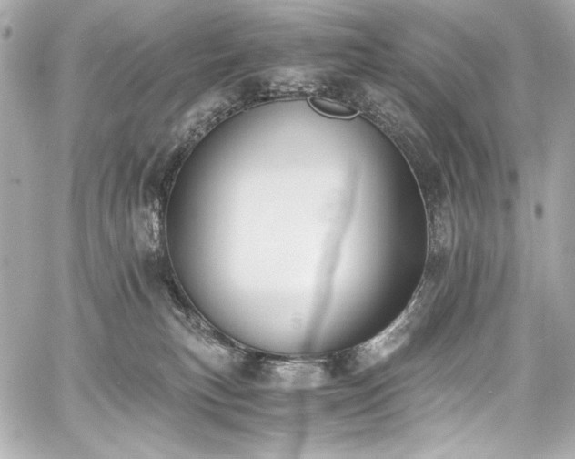 X0000060800183200511101428