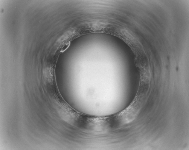 X0000060800184200511101428