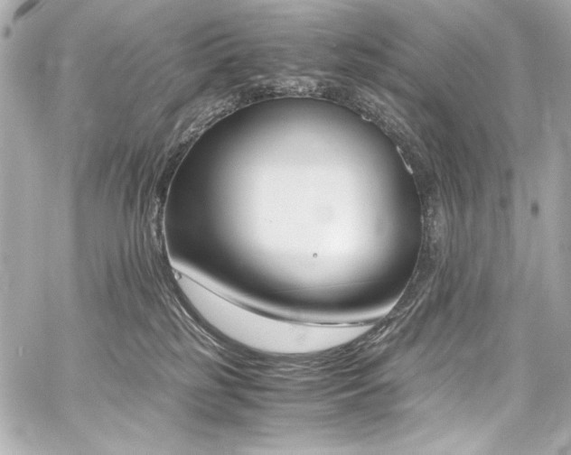 X0000060800185200511101428