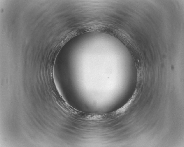 X0000060800186200511101428