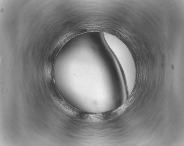 X0000060800188200511101429