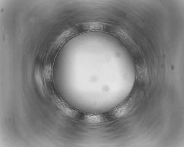 X0000060800189200511101429