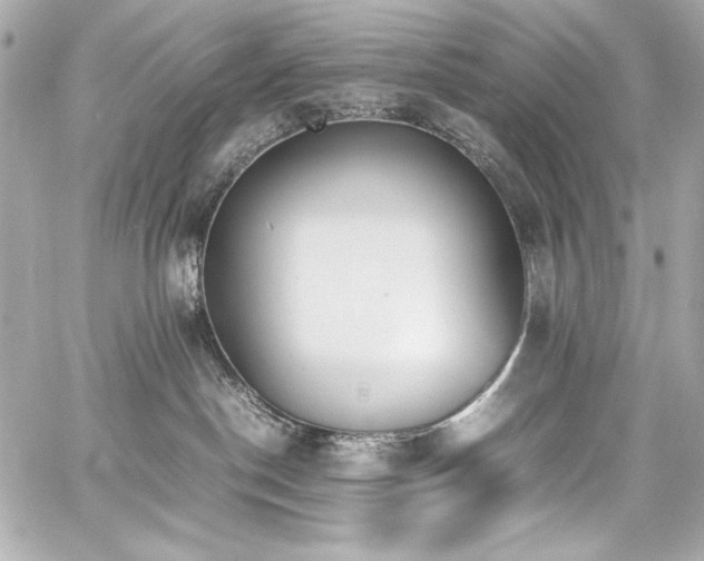 X0000060800190200511101429