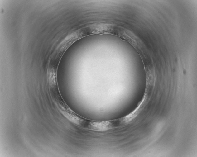 X0000060800191200511101429