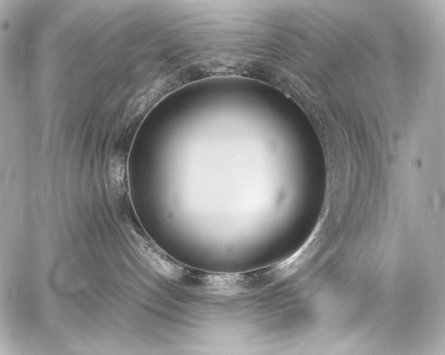 X0000060800192200511101429