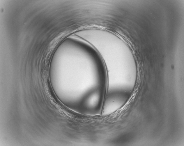 X0000060800193200511101428