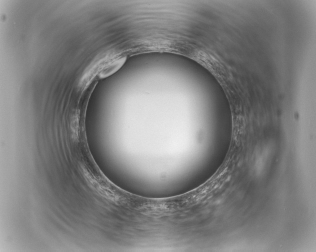 X0000060800194200511101428