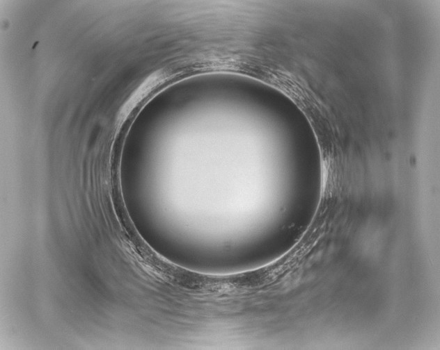 X0000060800195200511101428