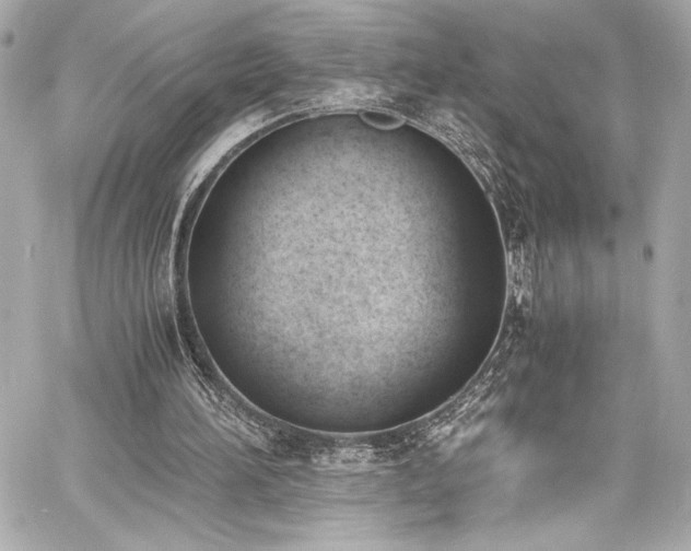 X0000060800196200511101428