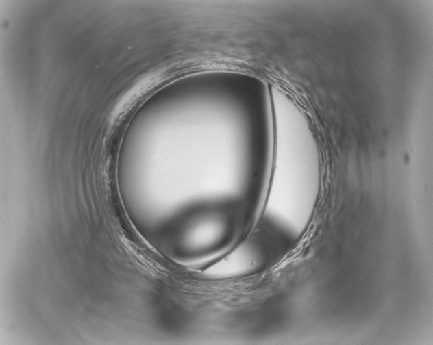 X0000060800197200511101428