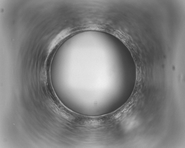 X0000060800198200511101428