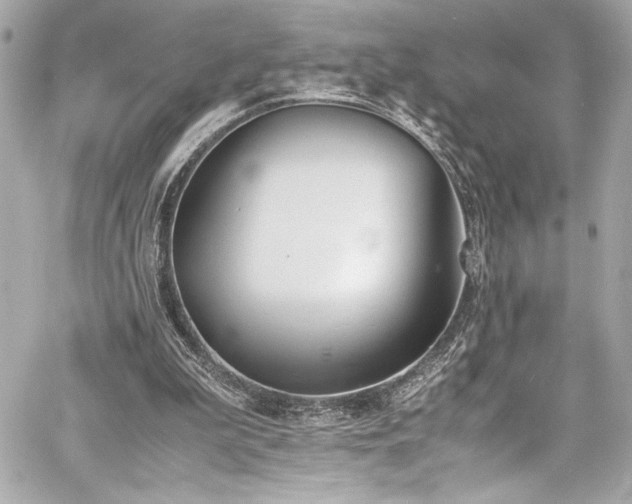 X0000060800199200511101428