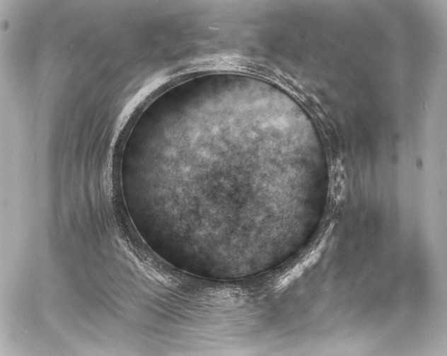 X0000060800200200511101428