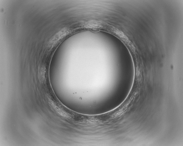 X0000060800201200511101428