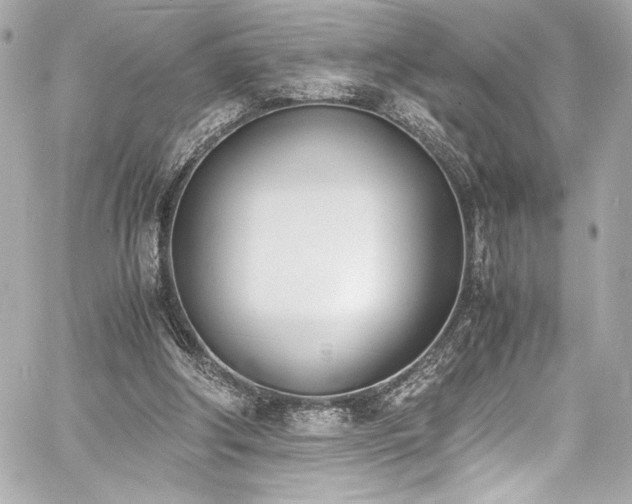 X0000060800202200511101428