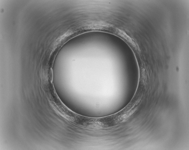 X0000060800203200511101428