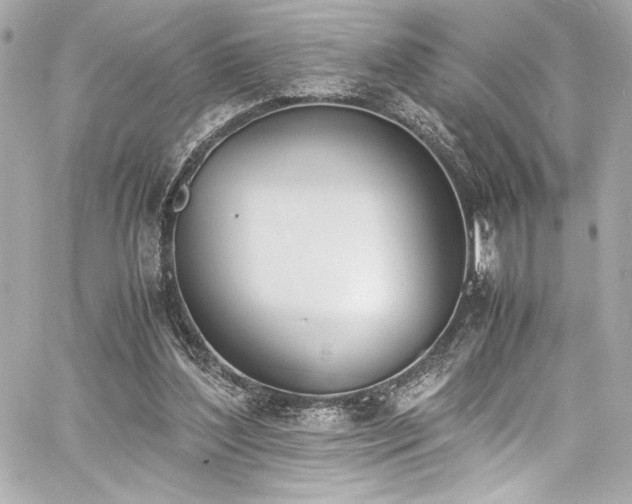 X0000060800204200511101428