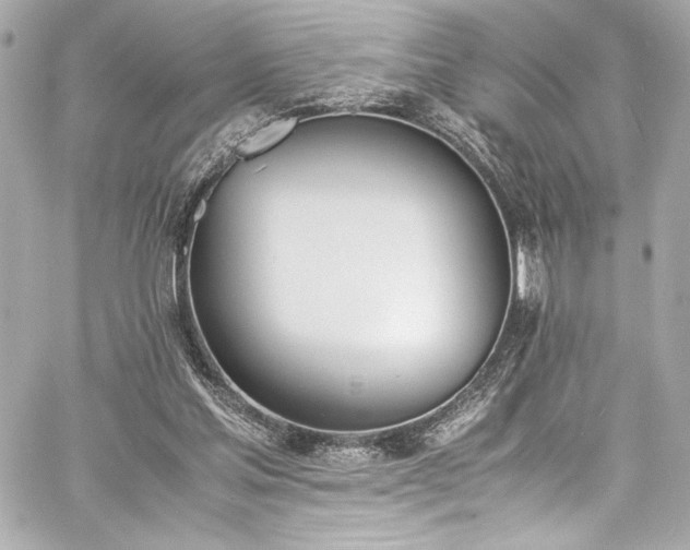 X0000060800205200511101428