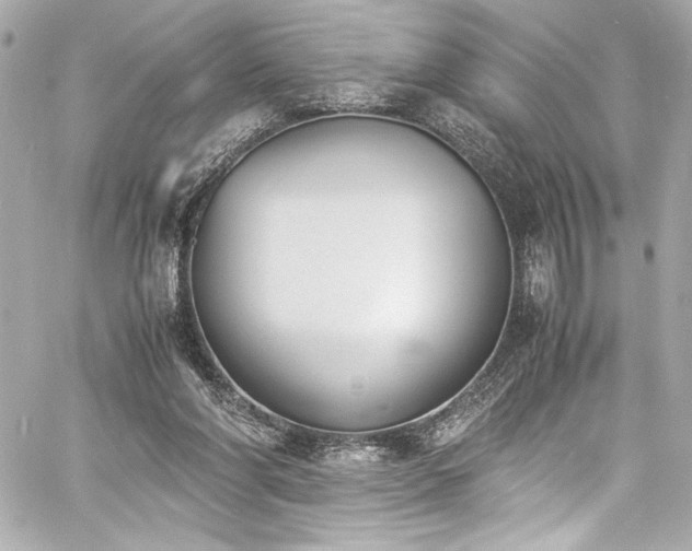 X0000060800206200511101428