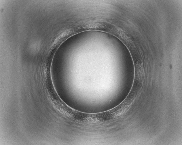 X0000060800207200511101428