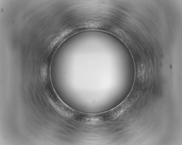 X0000060800208200511101428