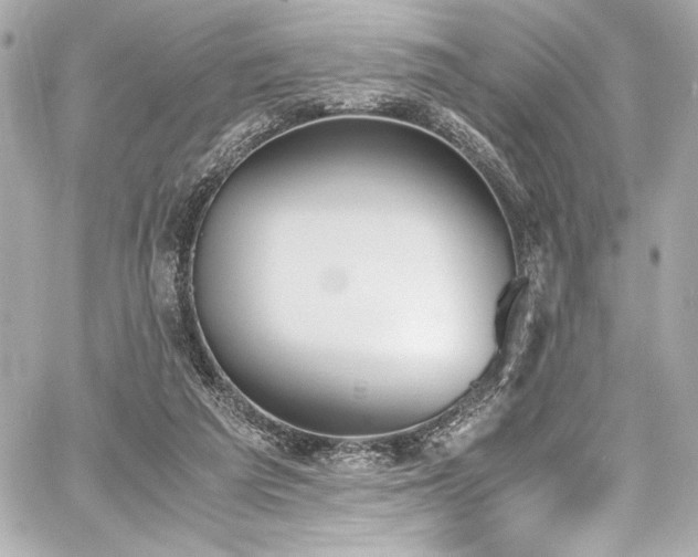 X0000060800209200511101428