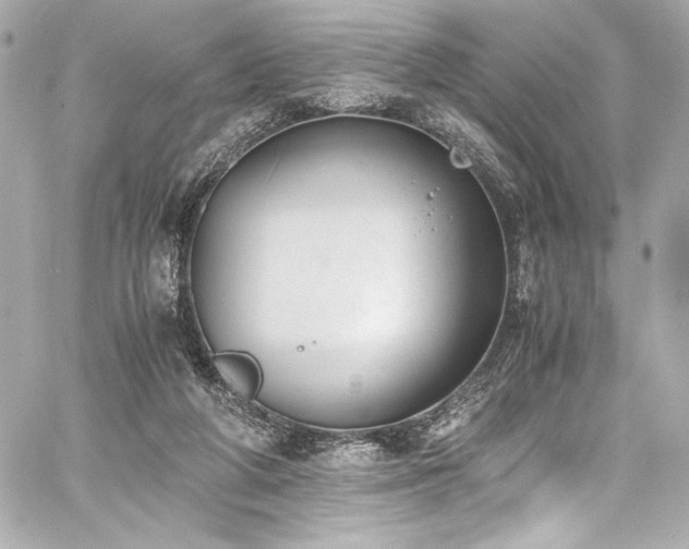 X0000060800210200511101427