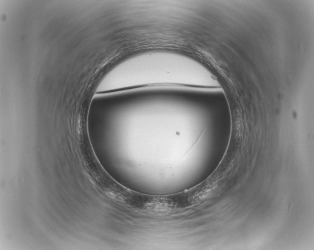 X0000060800211200511101427