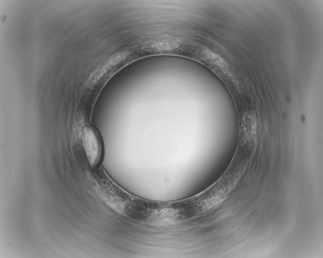 X0000060800212200511101427