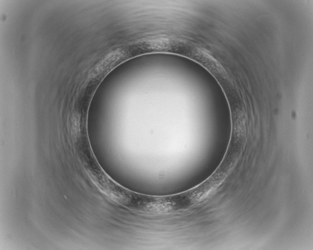 X0000060800213200511101427