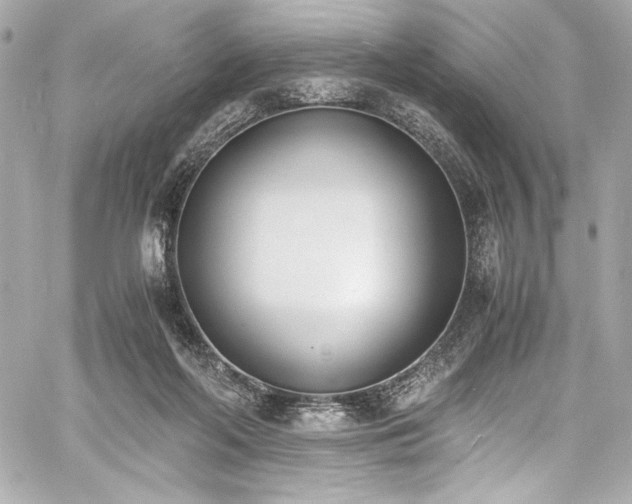 X0000060800214200511101427