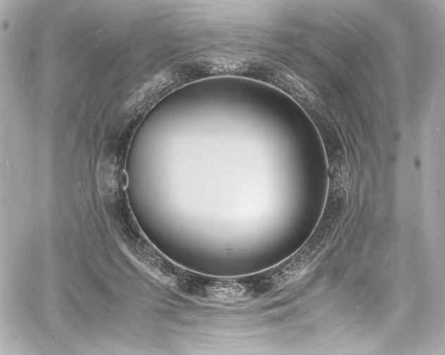 X0000060800215200511101427