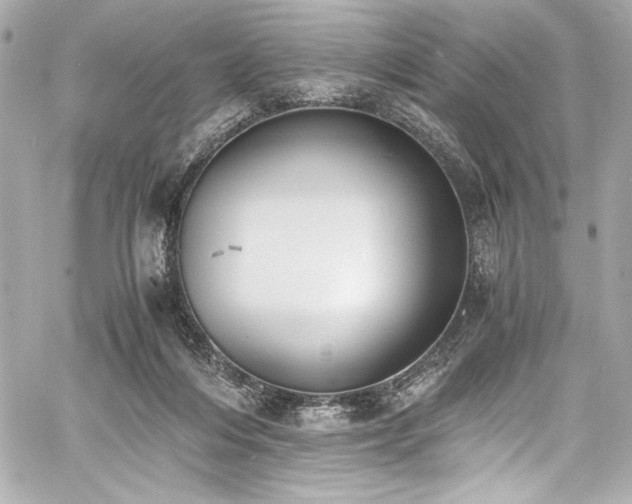 X0000060800216200511101427