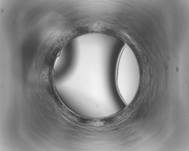 X0000060800217200511101427