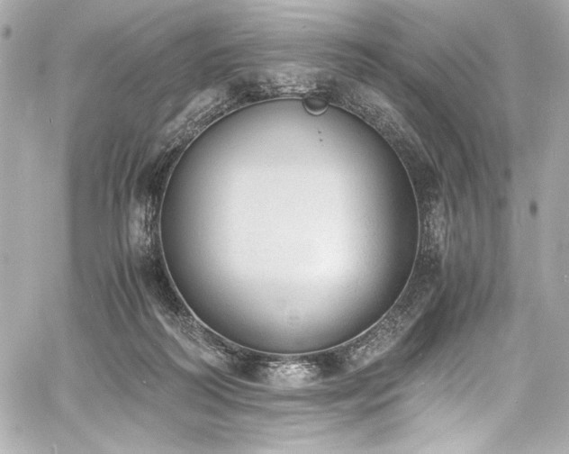 X0000060800218200511101427