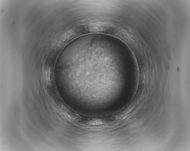 X0000060800219200511101427