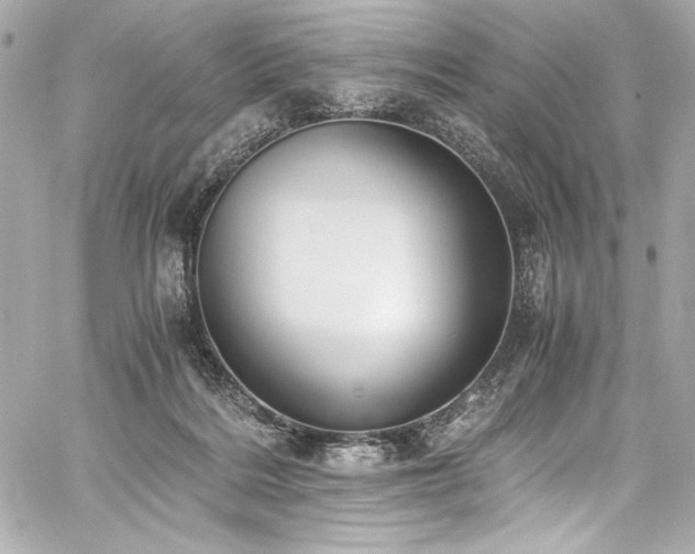 X0000060800220200511101427