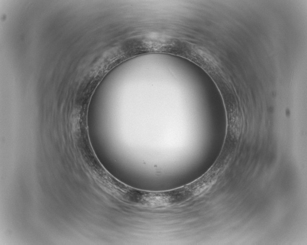 X0000060800221200511101427