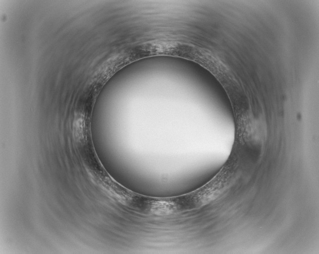 X0000060800222200511101427