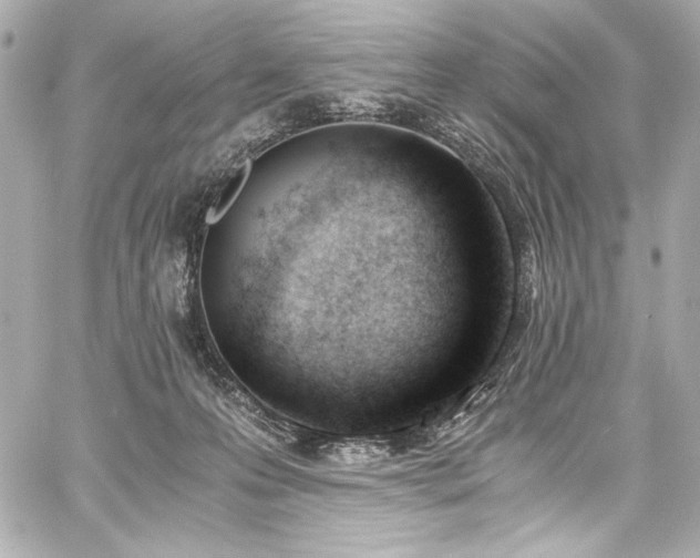 X0000060800223200511101427