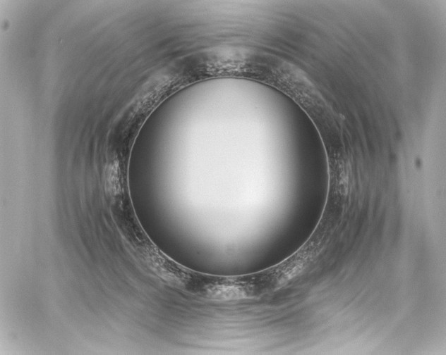 X0000060800224200511101427