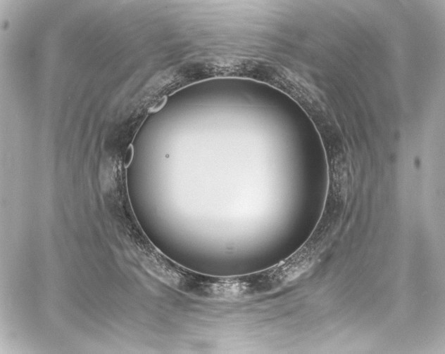 X0000060800225200511101427