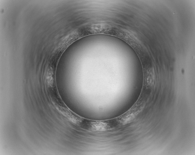 X0000060800226200511101427